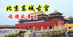射骚屄中国北京-东城古宫旅游风景区